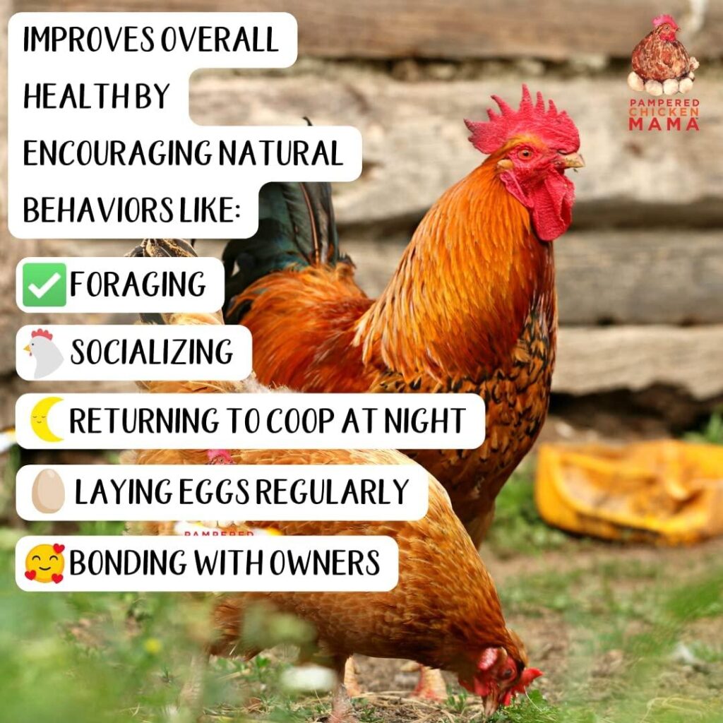 Chicken Vitamins