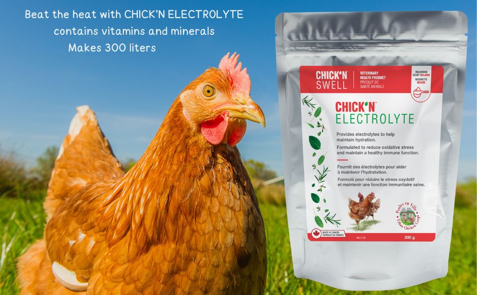 Electrolytes For Chickens