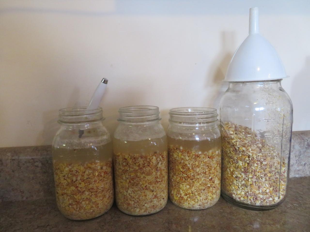 Why and how to make fermented chicken feed for a healthy flock - Arda Acres Why and how to make fermented chicken feed for a healthy flock - Arda Acres