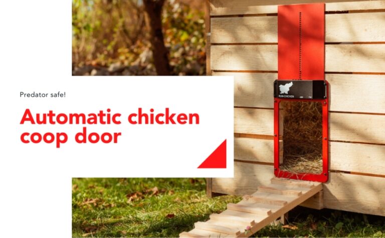 Automatic Chicken Door