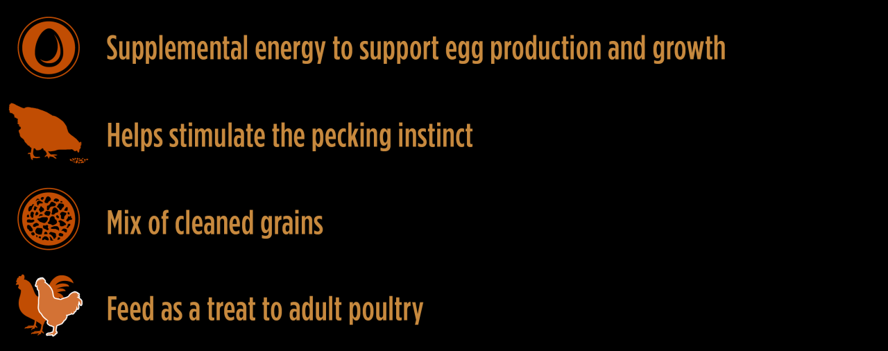 Producer's Pride Scratch Grains Poultry Feed, 50 lb. Bag at Tractor ...