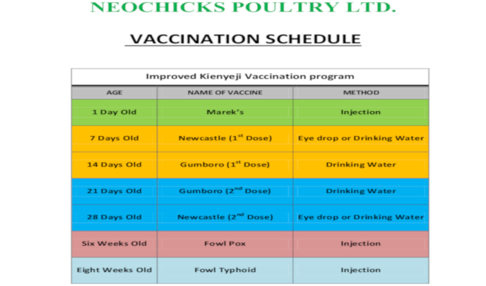 Poultry Vaccination Programs | Avian Influenza | Influenza Poultry Vaccination Programs | Avian Influenza | Influenza