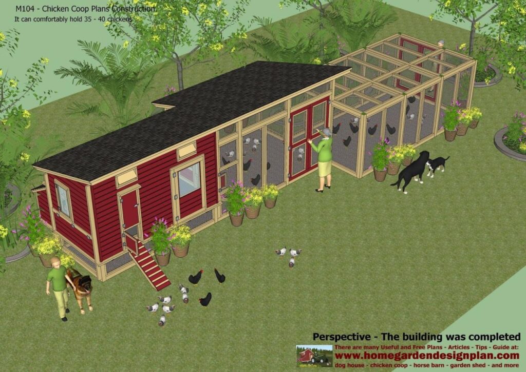 Chicken coop design for your feathered friends