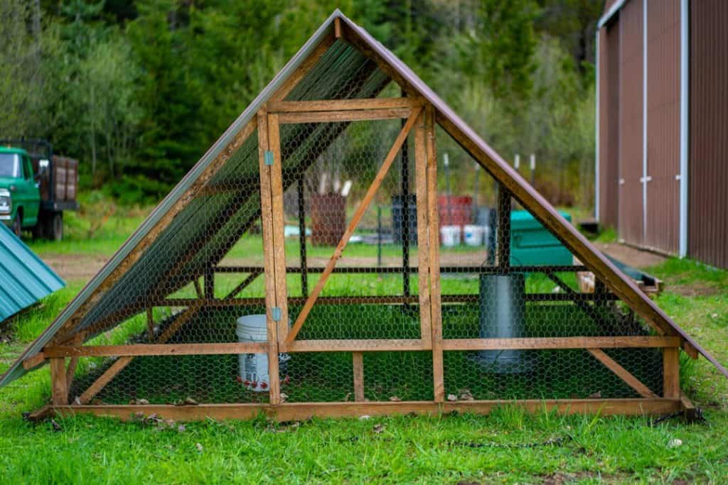 Chicken tractor A Sustainable Approach to Farming