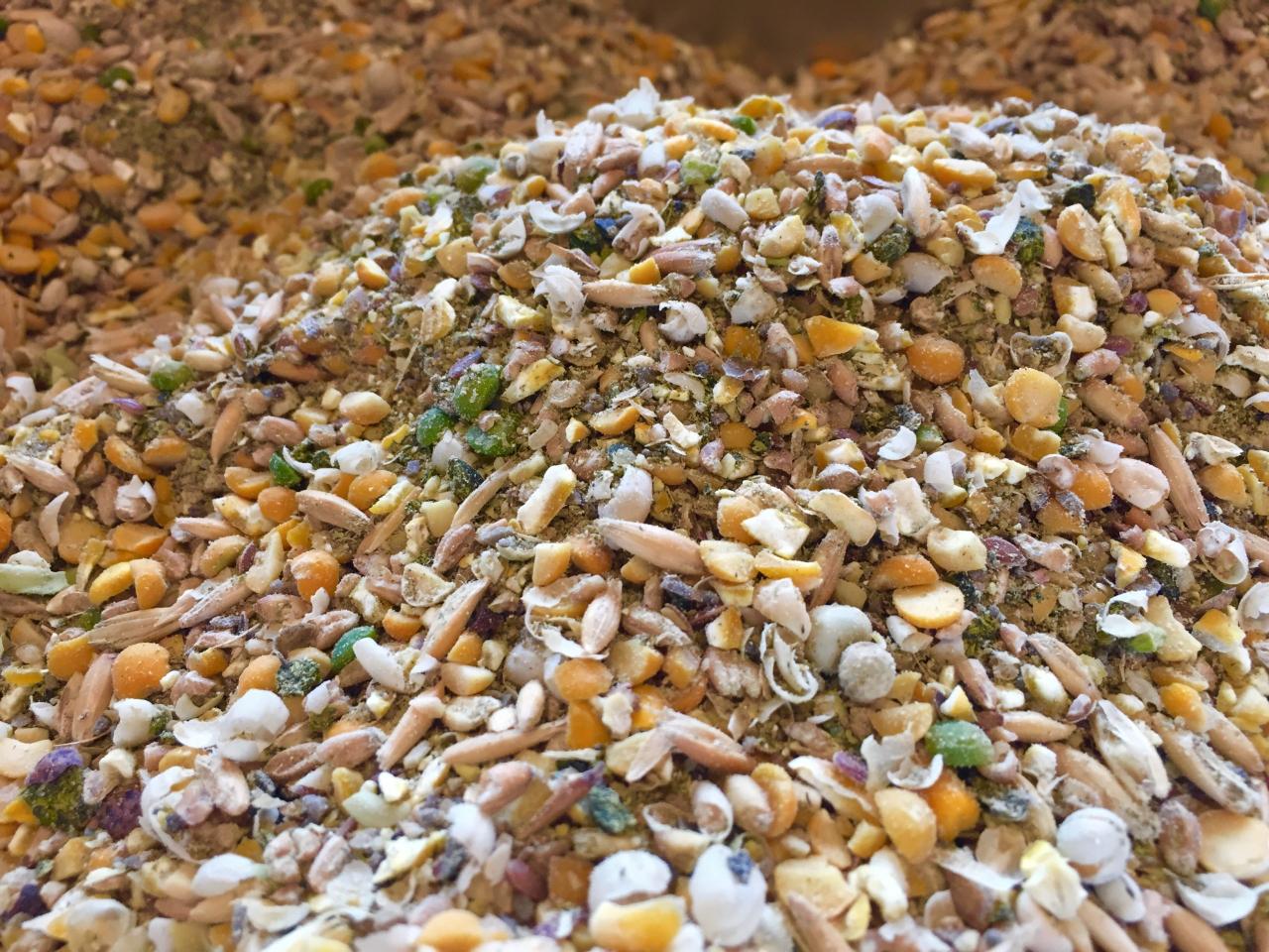 Organic chicken feed